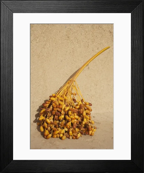 Framed Print : Picture No. 10761402