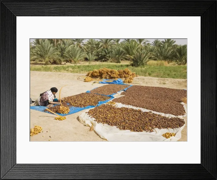 Framed Print : Picture No. 10761397 Framed Print : Picture No. 10761397