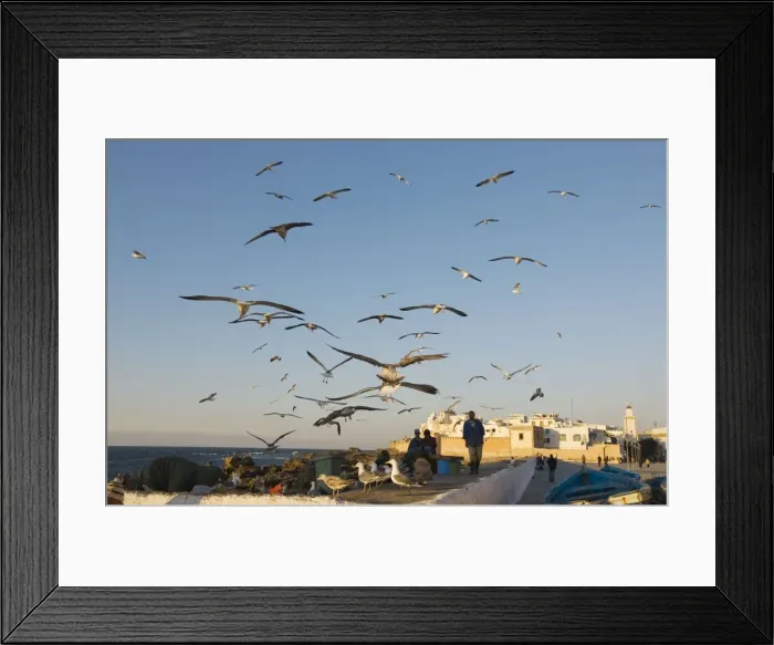 Framed Print : Picture No. 10761407 Framed Print : Picture No. 10761407