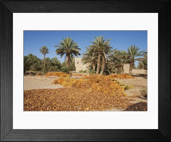 Framed Print : Picture No. 10761401 Framed Print : Picture No. 10761401