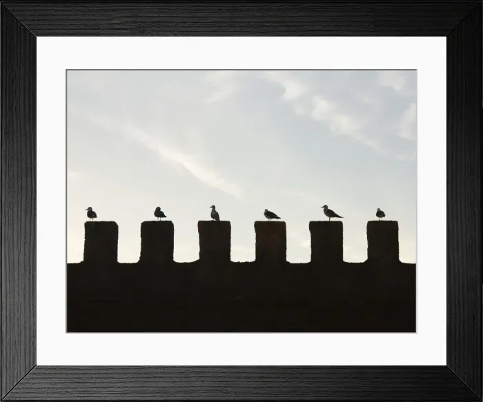 Framed Print : Picture No. 10761414 Framed Print : Picture No. 10761414