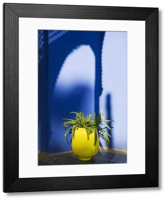 Framed Print : Picture No. 10761496 Framed Print : Picture No. 10761496