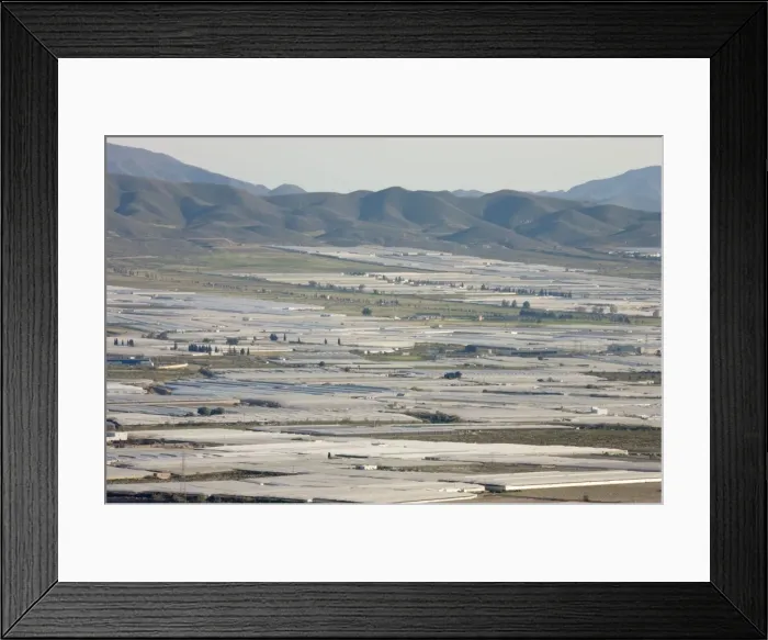 Framed Print : Picture No. 10761698 Framed Print : Picture No. 10761698