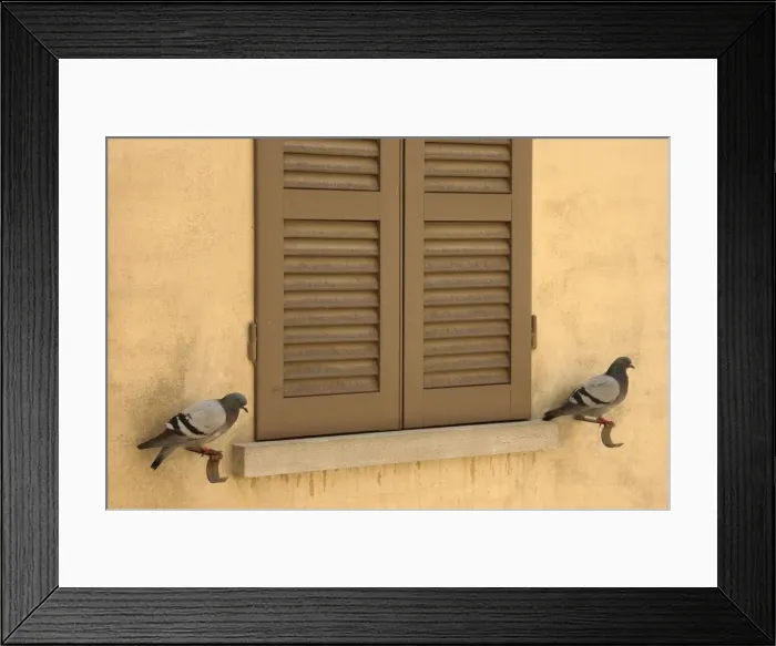 Framed Print : Picture No. 10761707 Framed Print : Picture No. 10761707