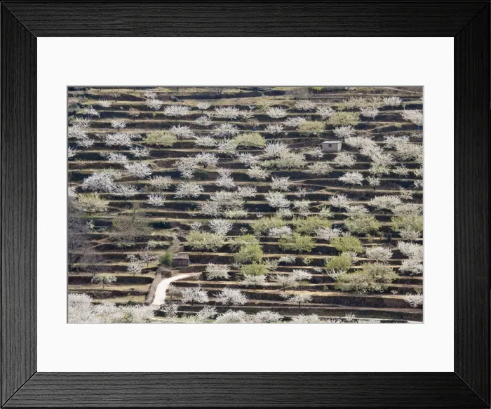 Framed Print : Picture No. 10761715 Framed Print : Picture No. 10761715