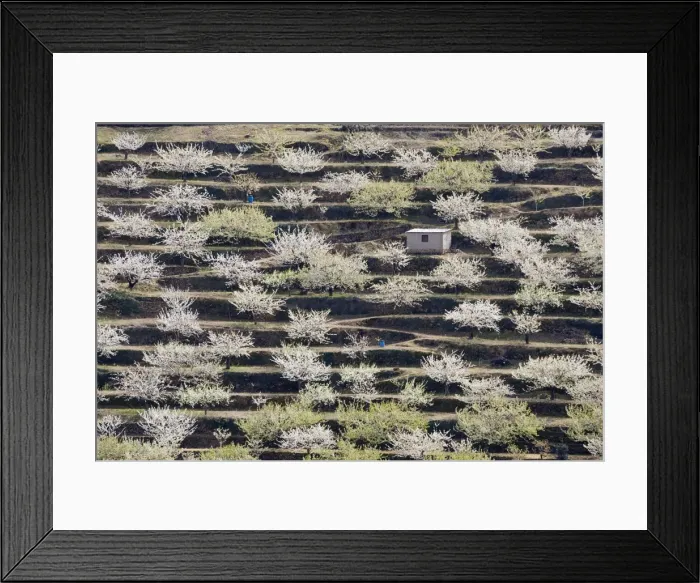 Framed Print : Picture No. 10761716 Framed Print : Picture No. 10761716