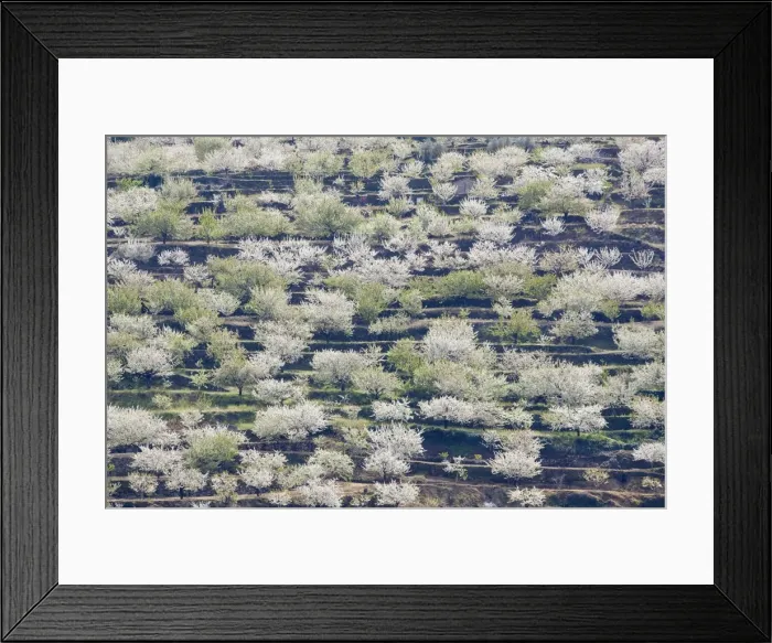 Framed Print : Picture No. 10761714 Framed Print : Picture No. 10761714