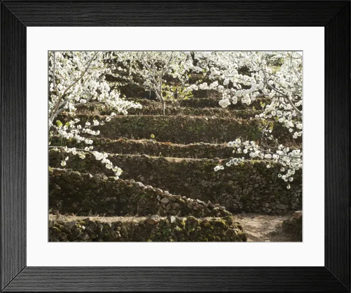 Framed Print : Picture No. 10761720 Framed Print : Picture No. 10761720