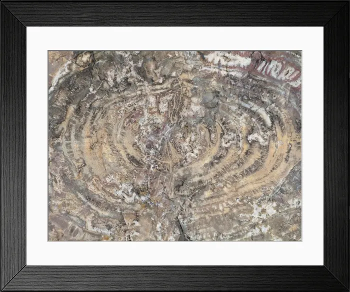 Framed Print : Picture No. 10761731 Framed Print : Picture No. 10761731