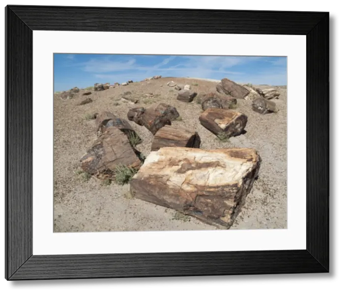 Framed Print : Picture No. 10761728 Framed Print : Picture No. 10761728