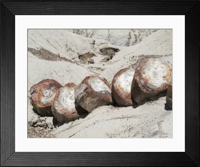 Framed Print : Picture No. 10761730 Framed Print : Picture No. 10761730