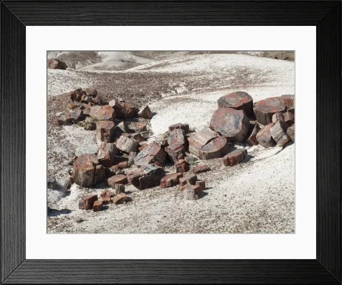 Framed Print : Picture No. 10761729 Framed Print : Picture No. 10761729