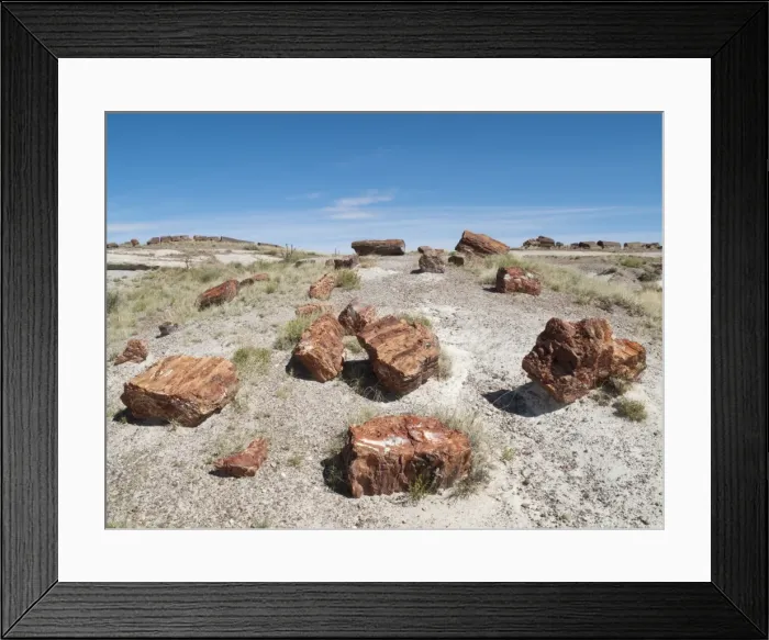 Framed Print : Picture No. 10761727