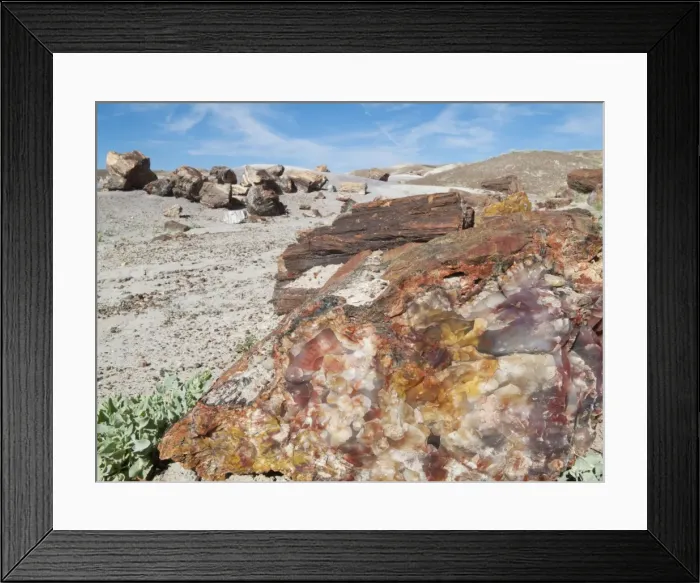 Framed Print : Picture No. 10761734 Framed Print : Picture No. 10761734