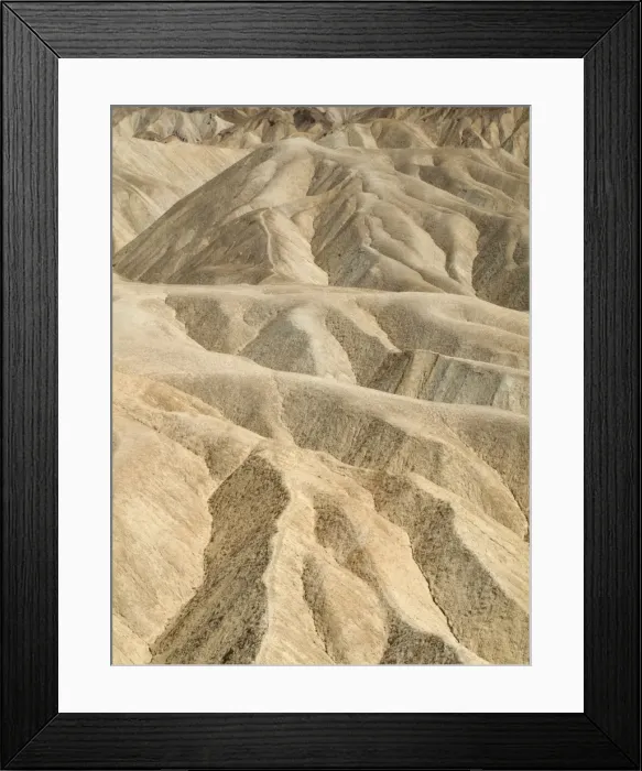 Framed Print : Picture No. 10761741