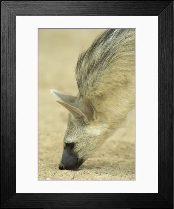 Framed Print : Picture No. 10761759 Framed Print : Picture No. 10761759