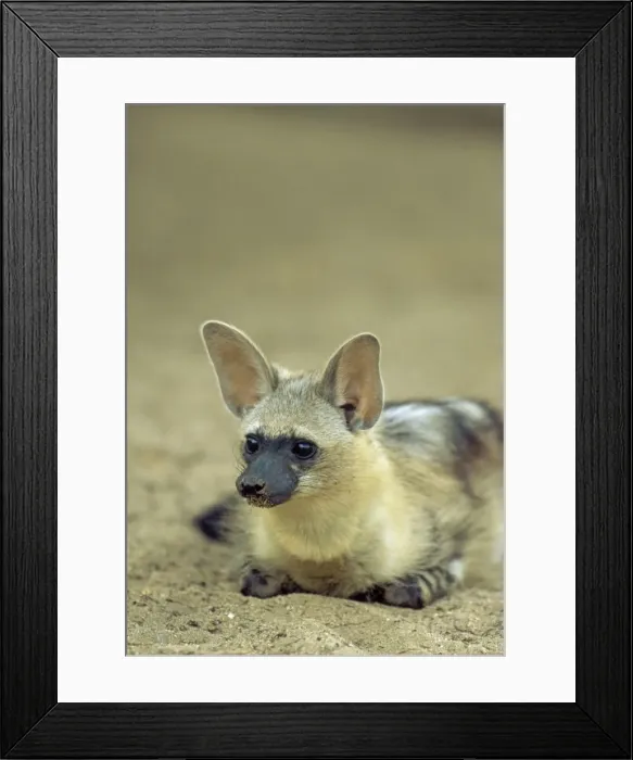 Framed Print : Picture No. 10761760 Framed Print : Picture No. 10761760