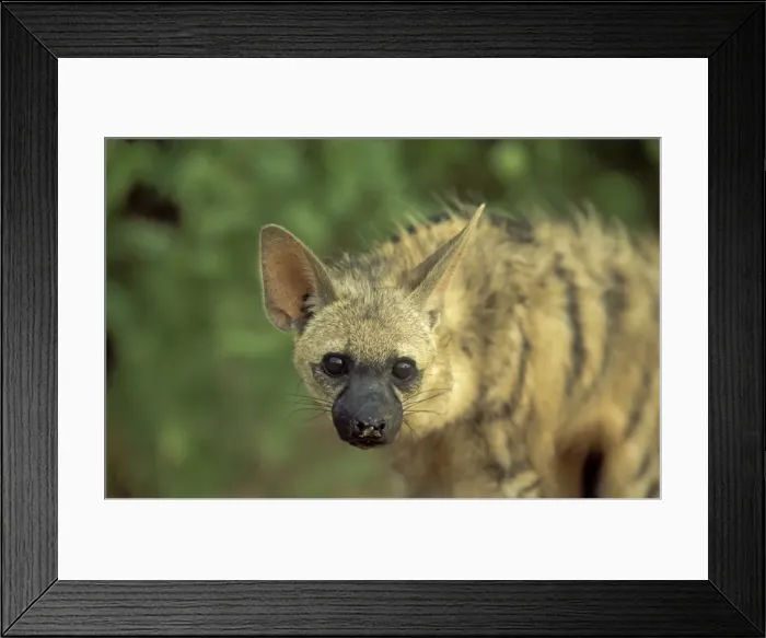 Framed Print : Picture No. 10761761 Framed Print : Picture No. 10761761