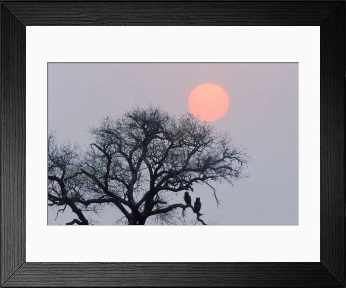 Framed Print : Picture No. 10761769 Framed Print : Picture No. 10761769