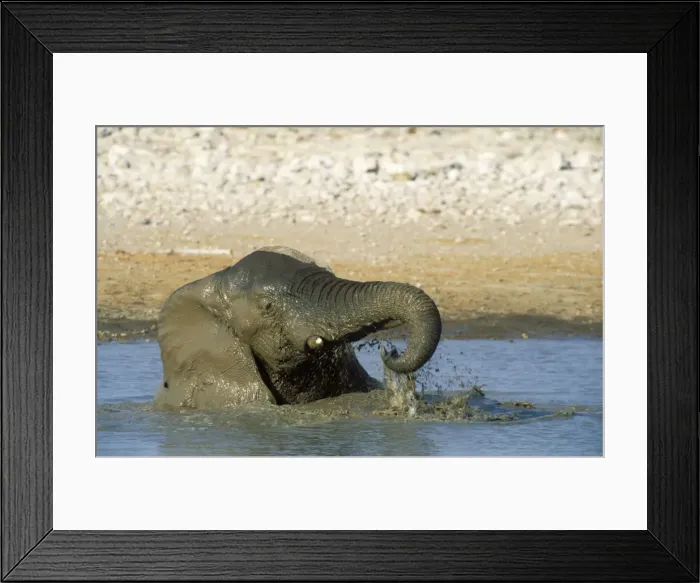 Framed Print : Picture No. 10761773 Framed Print : Picture No. 10761773