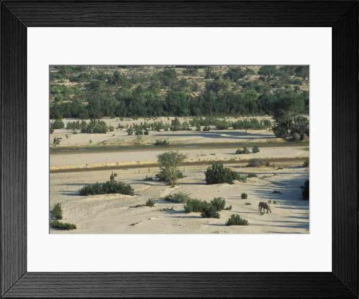 Framed Print : Picture No. 10761770 Framed Print : Picture No. 10761770
