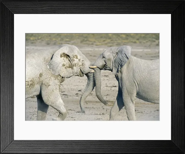 Framed Print : Picture No. 10761775 Framed Print : Picture No. 10761775