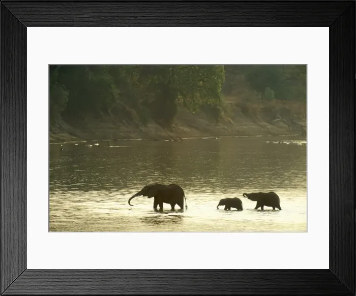Framed Print : Picture No. 10761771 Framed Print : Picture No. 10761771