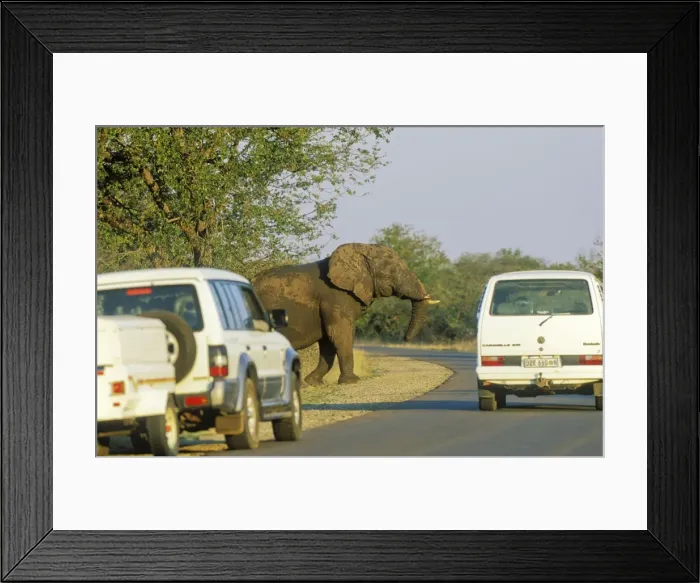 Framed Print : Picture No. 10761778 Framed Print : Picture No. 10761778