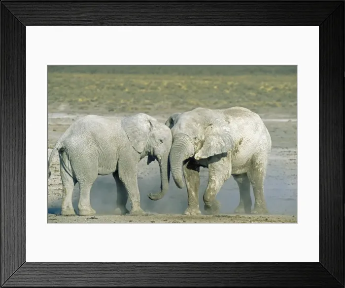 Framed Print : Picture No. 10761774 Framed Print : Picture No. 10761774