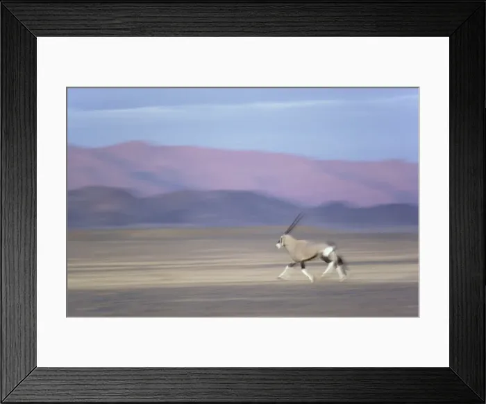 Framed Print : Picture No. 10761783