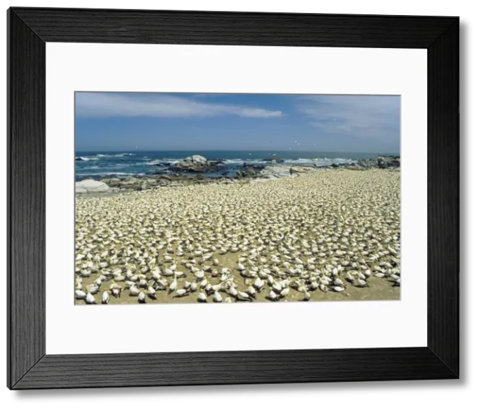 Framed Print : Picture No. 10761781