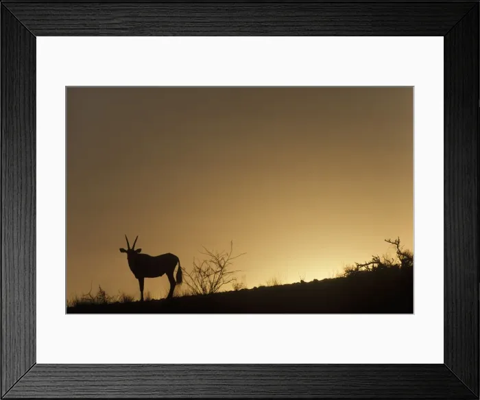 Framed Print : Picture No. 10761782 Framed Print : Picture No. 10761782