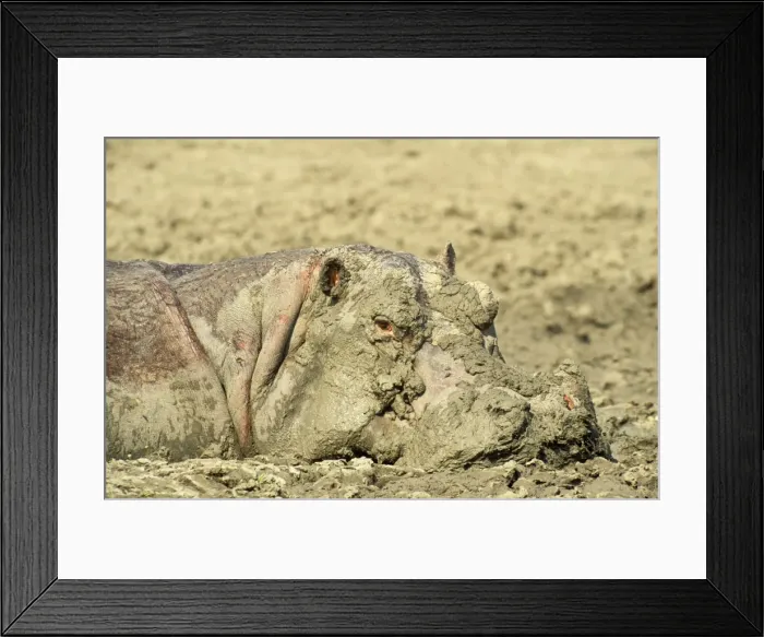 Framed Print : Picture No. 10761791 Framed Print : Picture No. 10761791