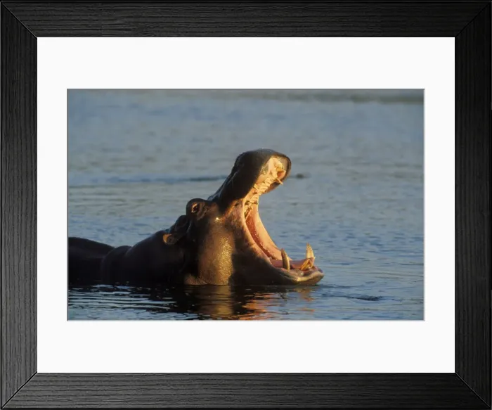 Framed Print : Picture No. 10761792 Framed Print : Picture No. 10761792