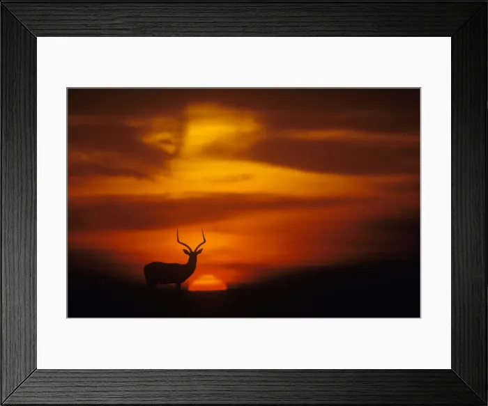 Framed Print : Picture No. 10761794 Framed Print : Picture No. 10761794