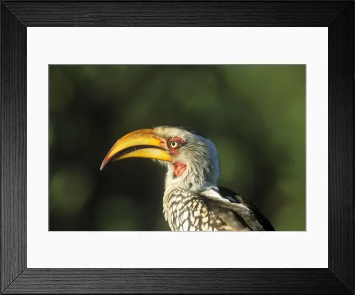 Framed Print : Picture No. 10761793 Framed Print : Picture No. 10761793
