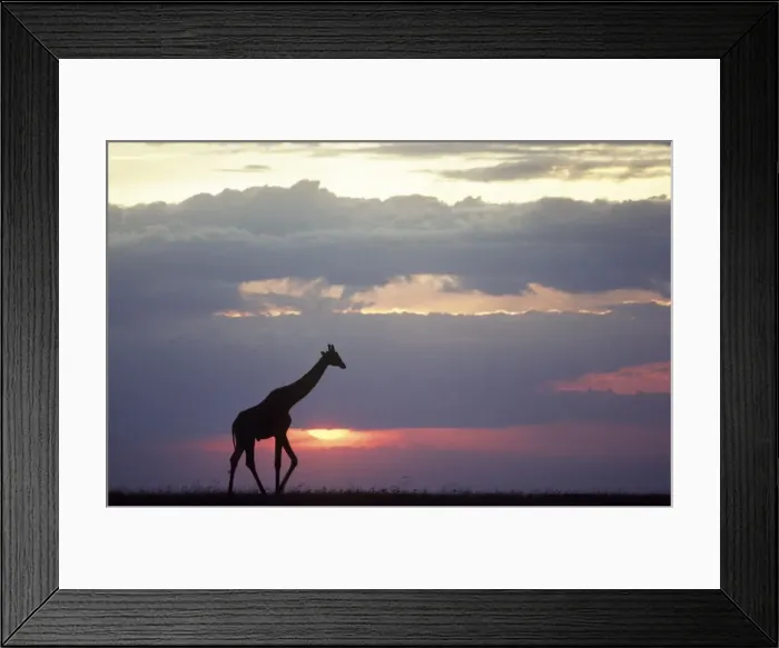 Framed Print : Picture No. 10761787 Framed Print : Picture No. 10761787