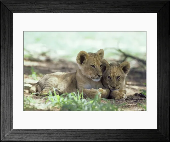 Framed Print : Picture No. 10761800 Framed Print : Picture No. 10761800