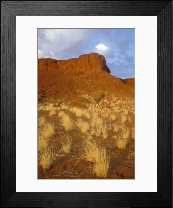 Framed Print : Picture No. 10761815 Framed Print : Picture No. 10761815