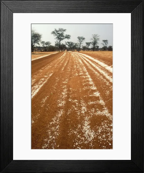 Framed Print : Picture No. 10761816 Framed Print : Picture No. 10761816
