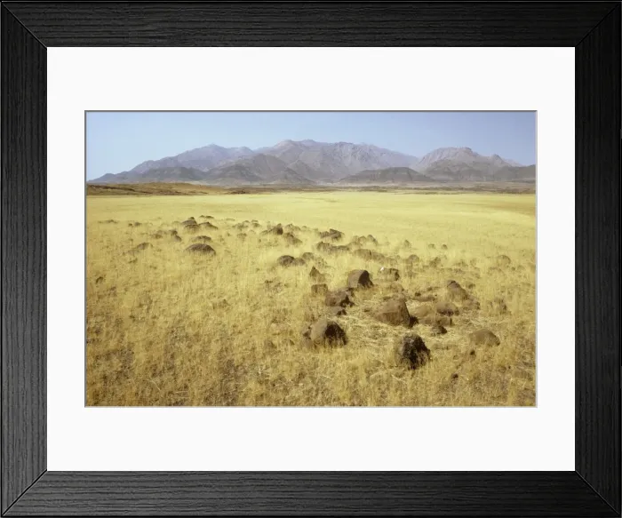 Framed Print : Picture No. 10761810 Framed Print : Picture No. 10761810