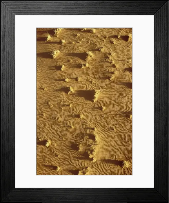 Framed Print : Picture No. 10761823 Framed Print : Picture No. 10761823