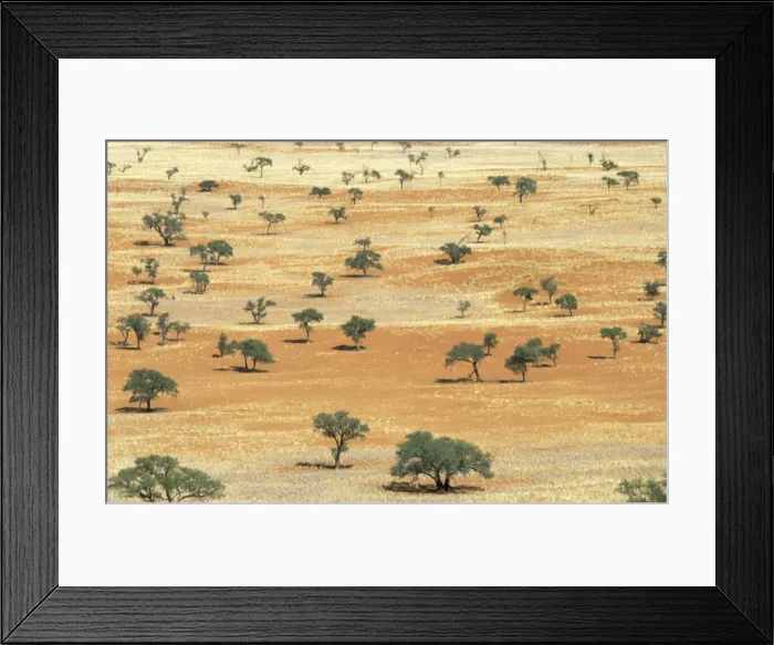 Framed Print : Picture No. 10761825 Framed Print : Picture No. 10761825
