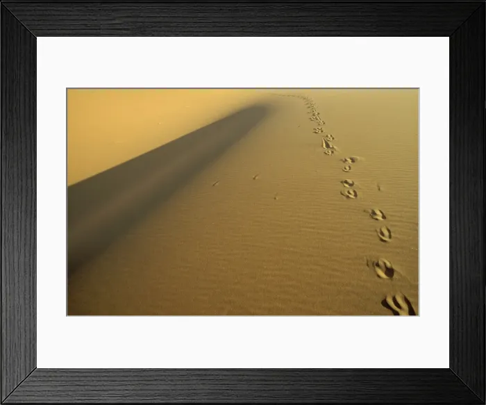Framed Print : Picture No. 10761820 Framed Print : Picture No. 10761820