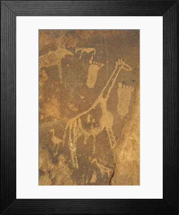 Framed Print : Picture No. 10761828