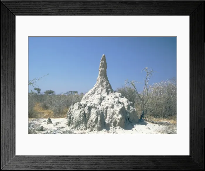 Framed Print : Picture No. 10761829 Framed Print : Picture No. 10761829