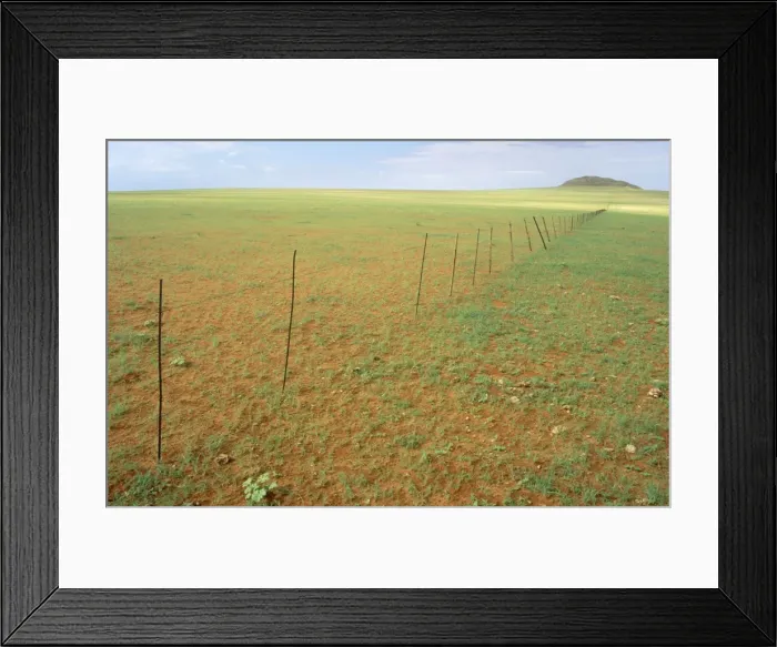 Framed Print : Picture No. 10761837 Framed Print : Picture No. 10761837