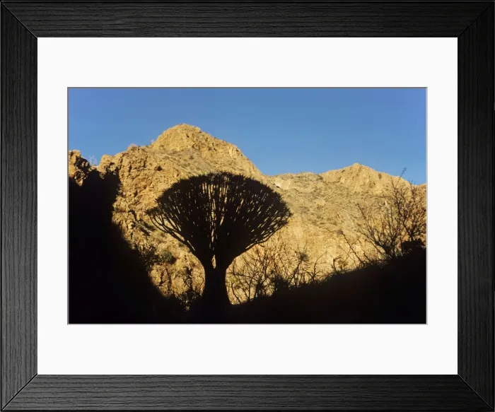 Framed Print : Picture No. 10761852 Framed Print : Picture No. 10761852