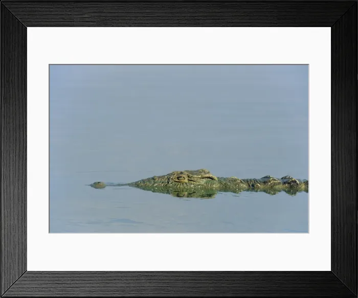 Framed Print : Picture No. 10761863 Framed Print : Picture No. 10761863