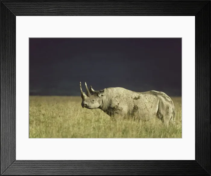 Framed Print : Picture No. 10761865 Framed Print : Picture No. 10761865